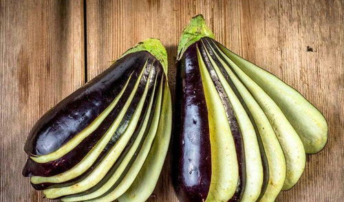 印尼巴士模拟器国产车辆模组 